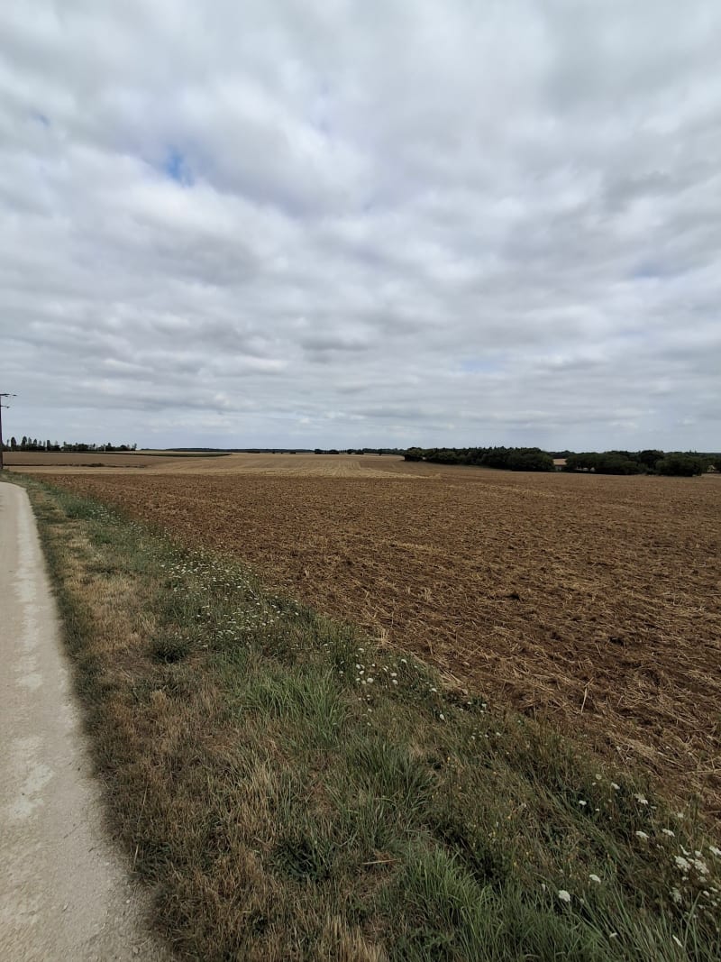 Belle balade dans les champs de Villefagnan - Villefagnan