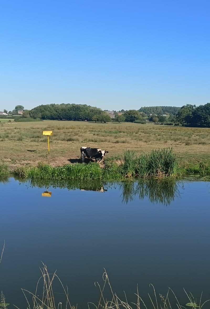 Entre Halage et réserve naturelle à Boussières-sur-Sambre - Boussières-sur-Sambre