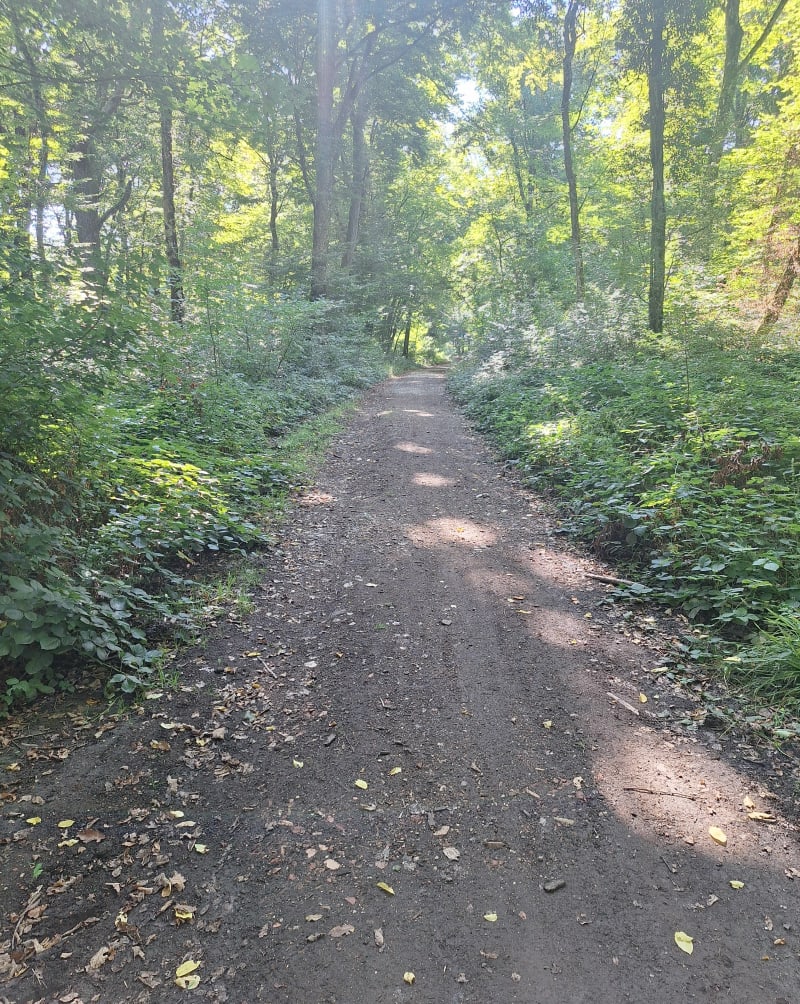 La forêt de Chèvremont - Pérouse