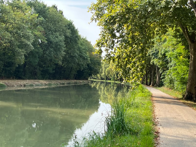 Balade le long du canal latéral côté Tarn et Garonne - Grenade