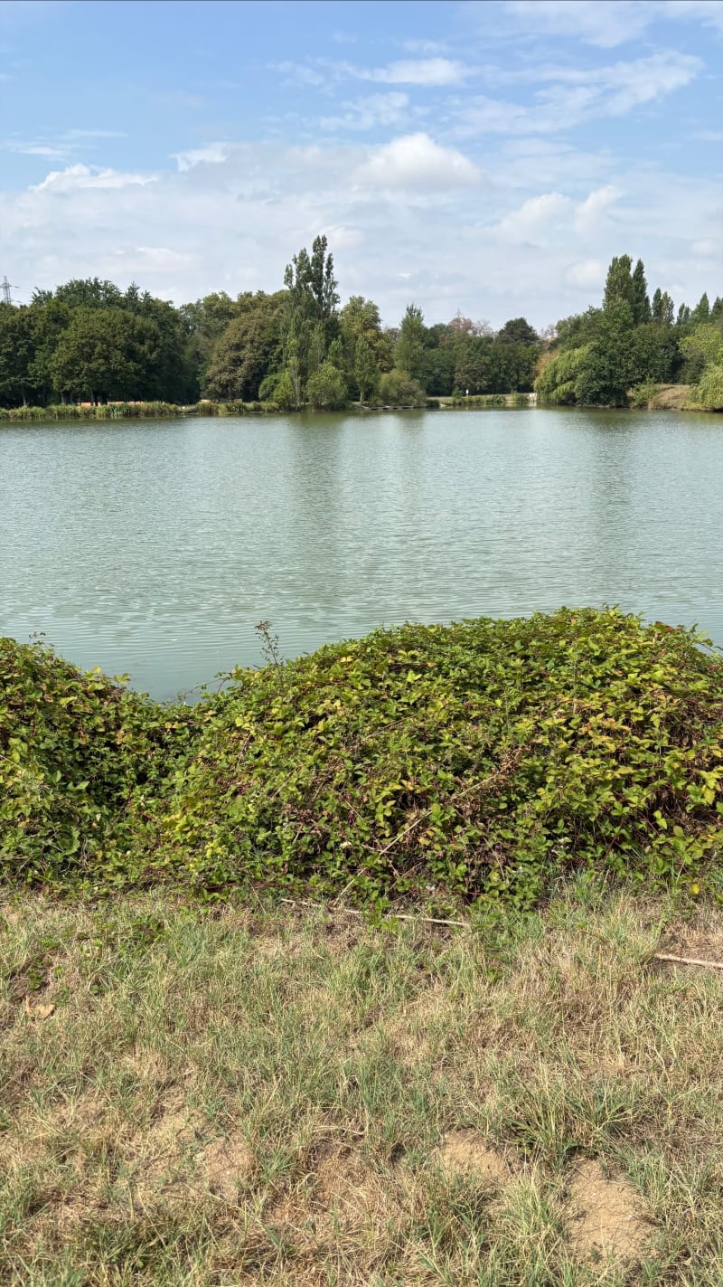 Direction le lac de la Borde - Castres
