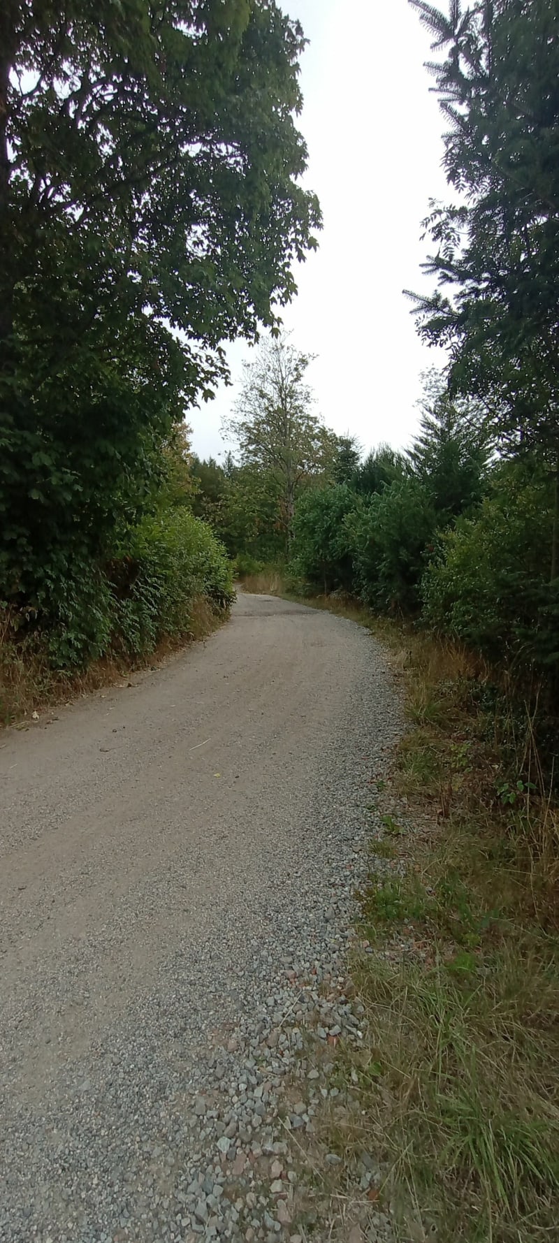 Balade Monjonin et Valette basse - Vêtre-sur-Anzon
