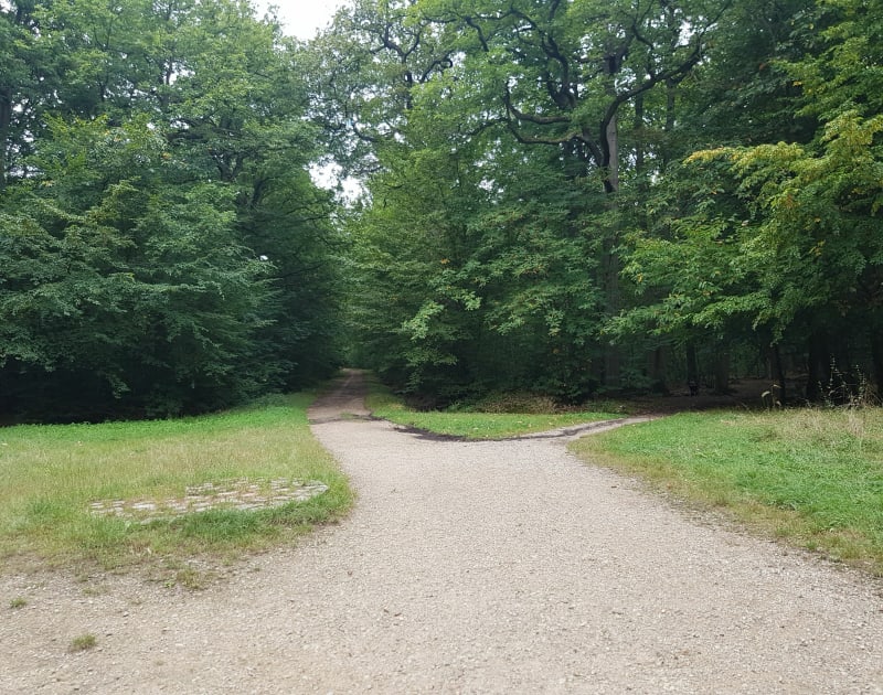 Bois de Sainte Apoline, par Etang de Plaisir - Plaisir
