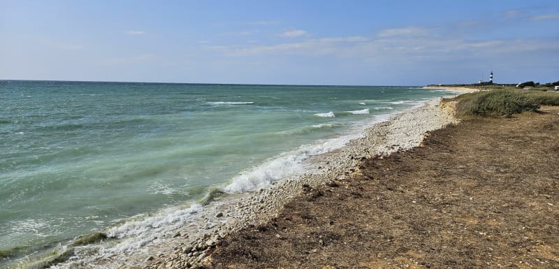 Nord de l'Île Oléron par petites routes et pistes cyclables - Saint-Georges-d'Oléron