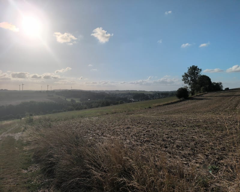 Balade vers l'arbre de la croix - Domart-en-Ponthieu
