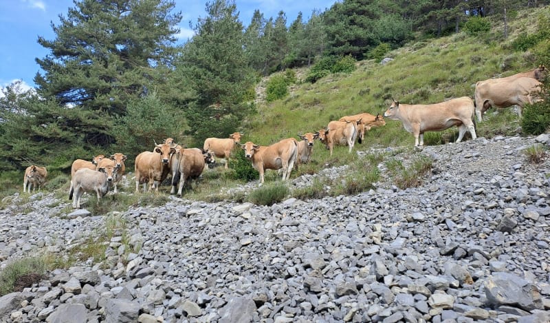De Péone (Villars le haut) à Bouchanières hors sentiers - Péone