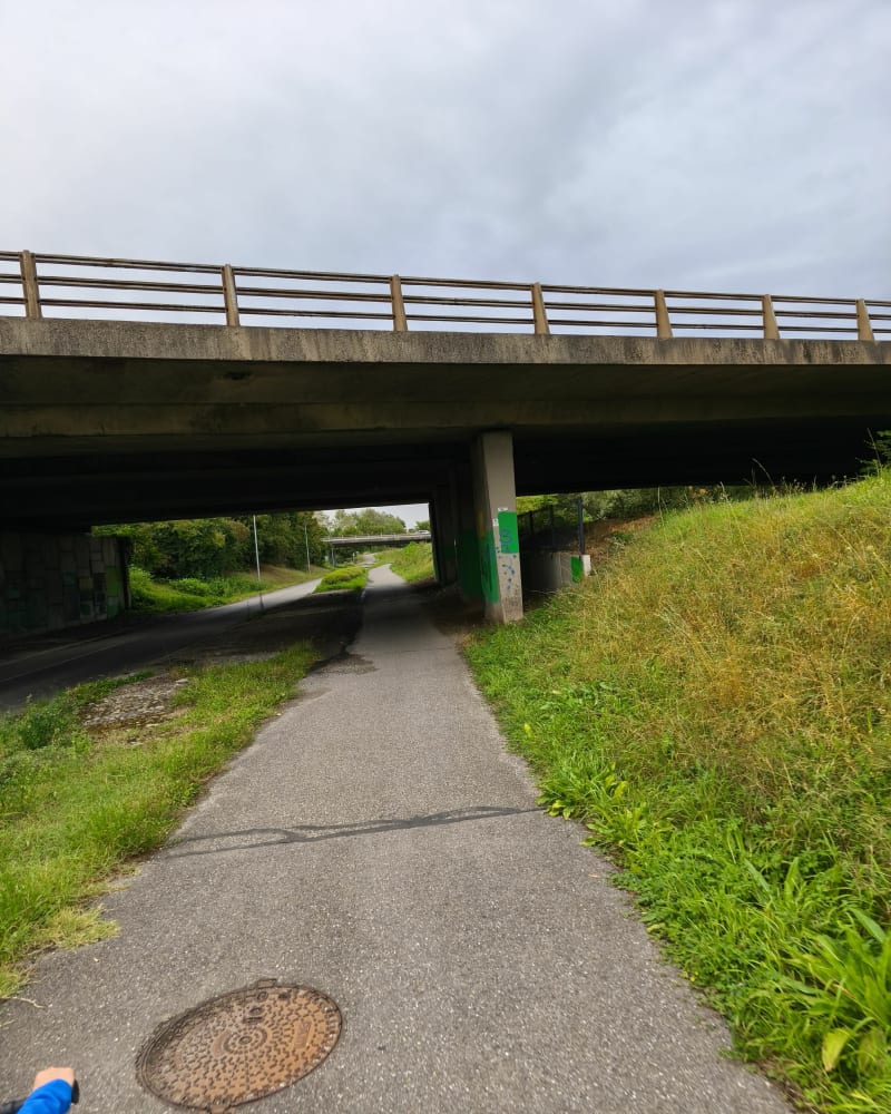 Boucle dans les parcs de Bourtzwiller - Mulhouse