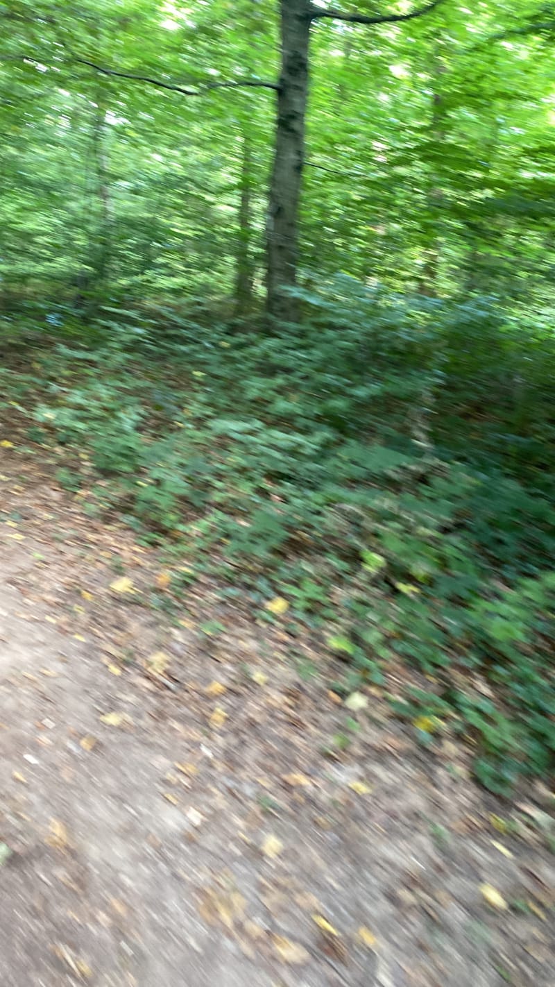 Parcours marche populaire à Briey - Val de Briey