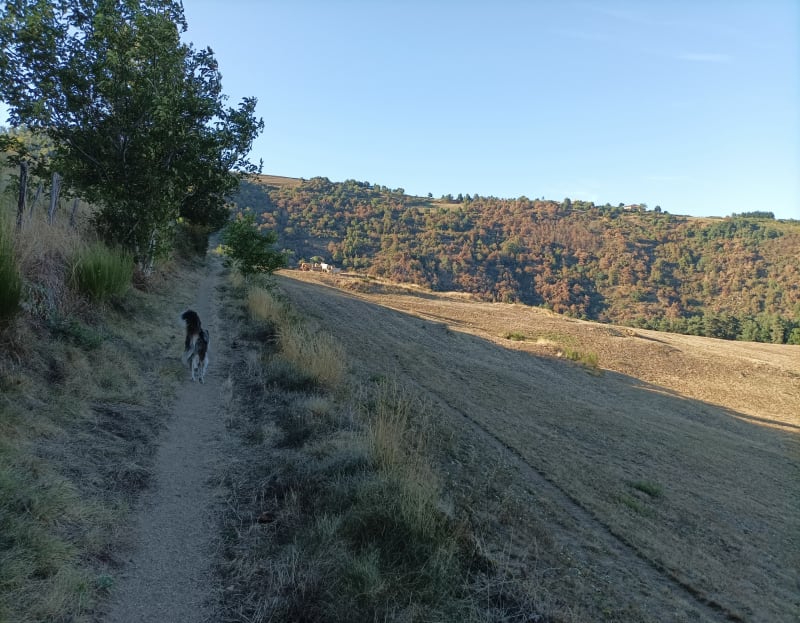 Monteil , petite boucle du parking du haut - Le Crestet