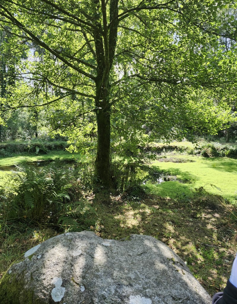Entre rivières et lac, et forêt de Carnoët - Quimperlé