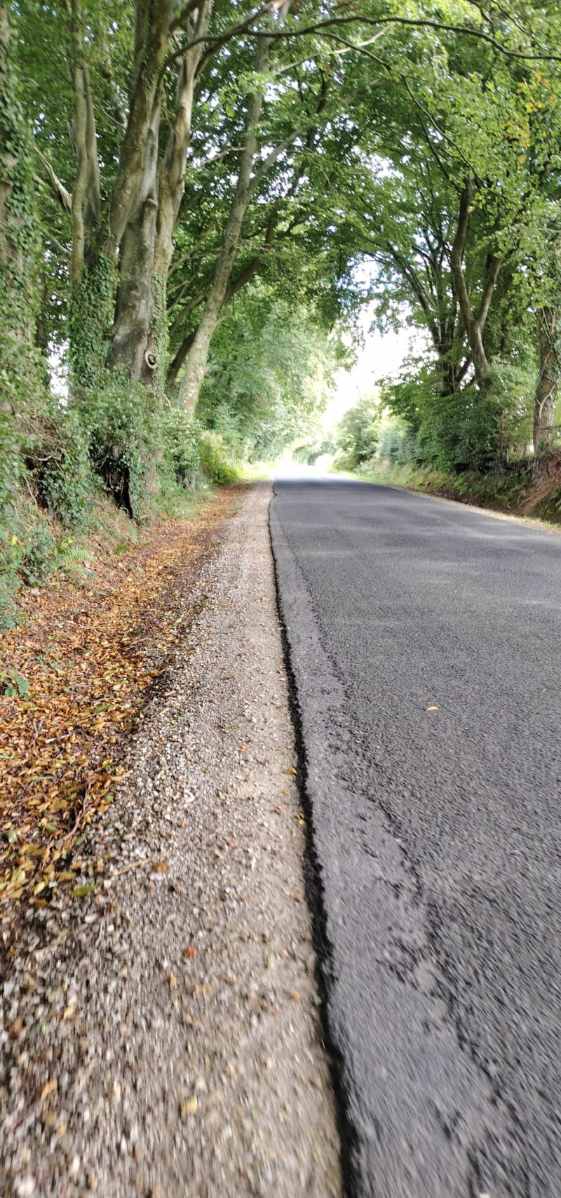 Marche sur la Glacerie, par le Bosquet - Cherbourg-en-Cotentin