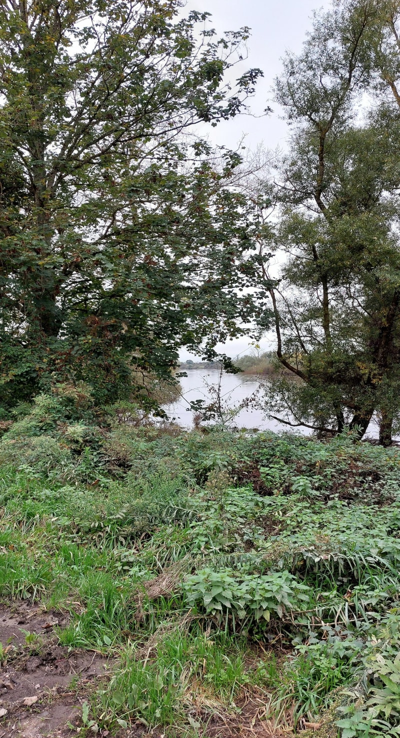 La Sauvignoise et la Nièvre - Sauvigny-les-Bois