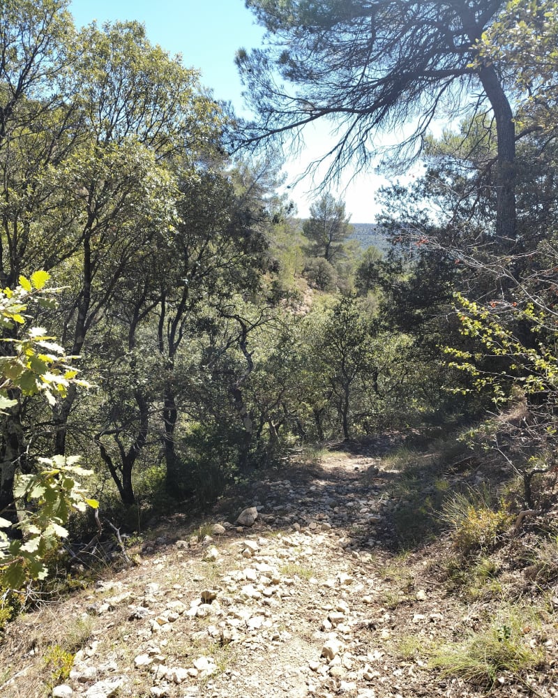 Le Roumagaou entre massif de l'étoile et mont Ventoux - Vitrolles-en-Lubéron