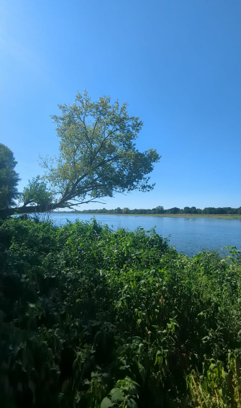 Louer et Loire à Rochefort - Rochefort-sur-Loire