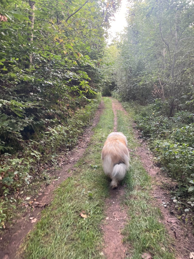 Boucle entre le Val d’Oeting et le mont du Wiesberg - Œting