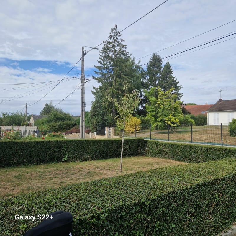 Balade sympathique Wargnies-le-Grand - Wargnies-le-Grand