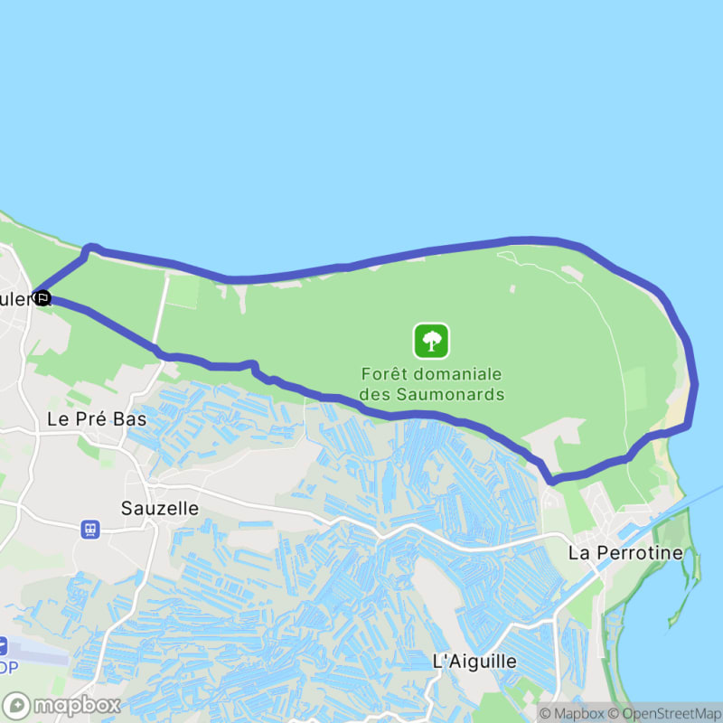 Balade à pied en forêt des Saumonards - Saint-Georges-d'Oléron