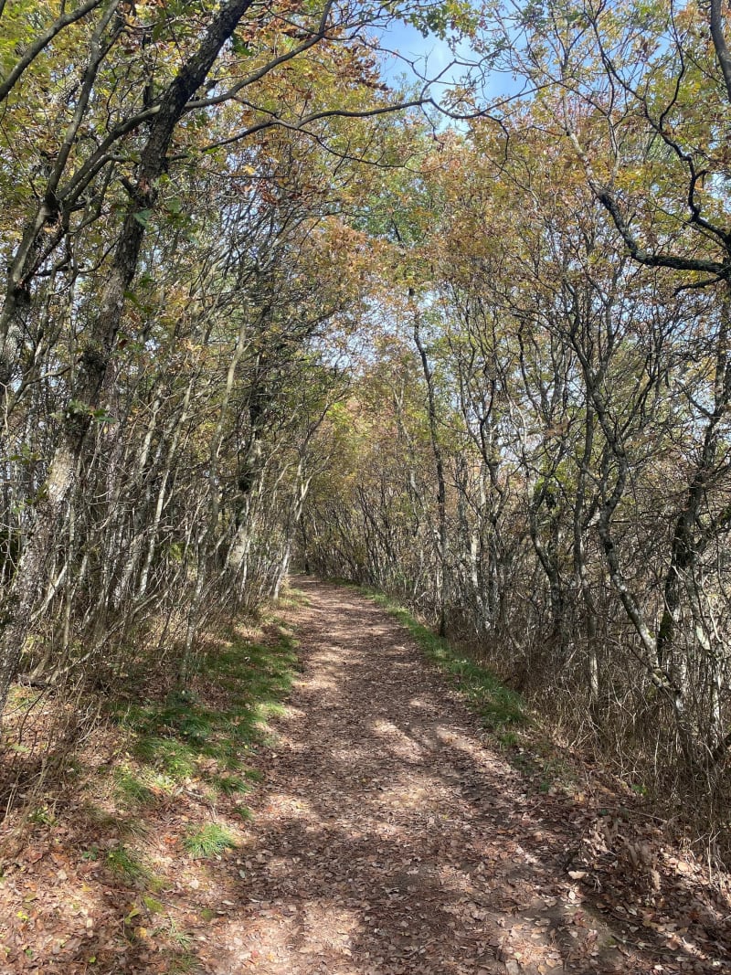 Au-dessus de Couzon - Couzon-au-Mont-d'Or