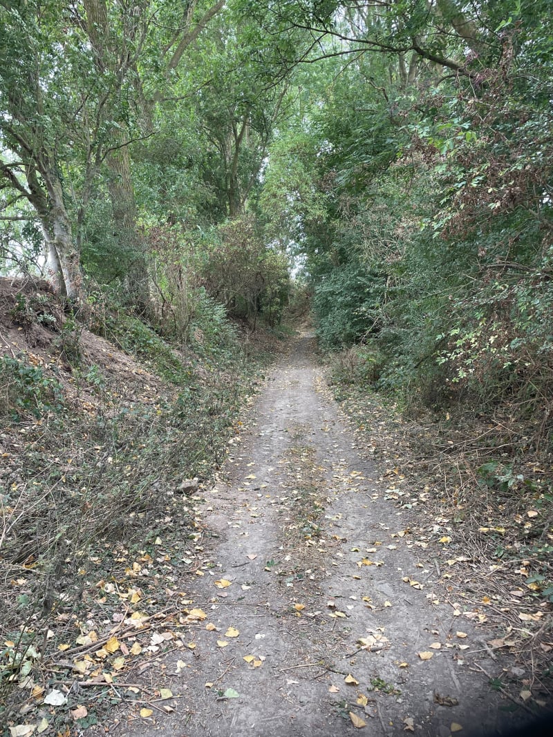 Petite balade autour de Saint-Aubin - Anzin-Saint-Aubin