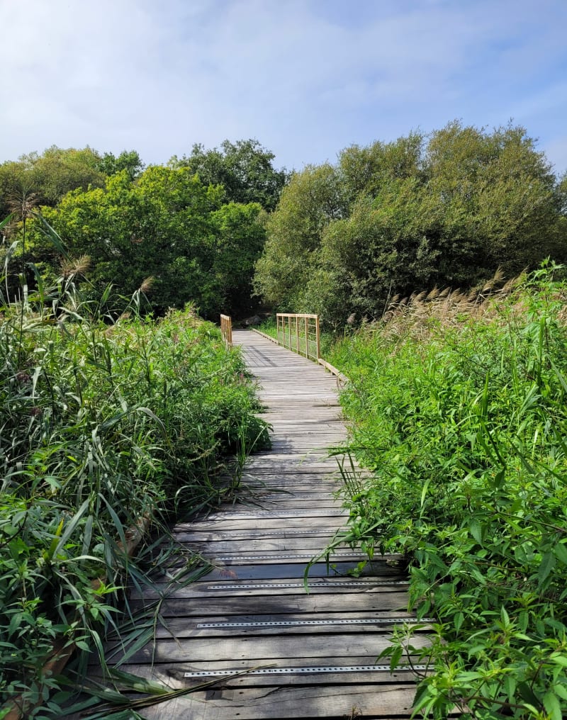 Boucle entre mer et campagne depuis Guidel - Guidel