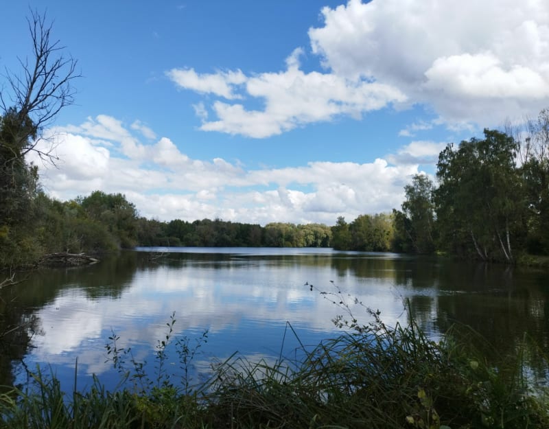 Balade facile et agréable à Bailleul-sur-Thérain - Bailleul-sur-Thérain