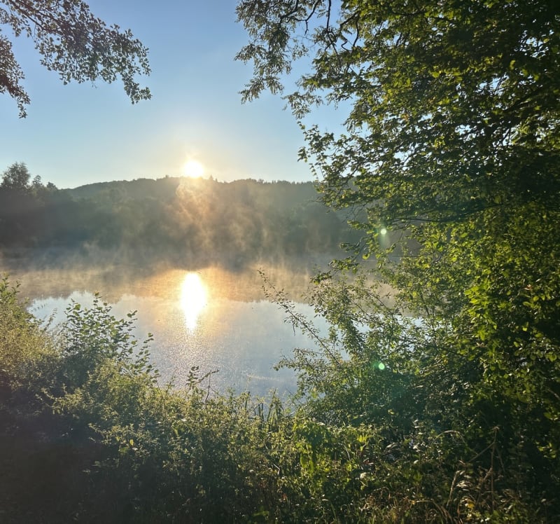 Promenade dans le Morvan, et moulin de Razou - Brassy