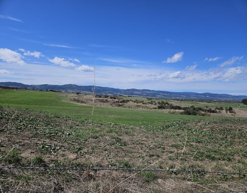 Tour du golf de Champlong - Villerest