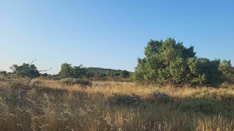 Randonnée dans les Gras de Lanas - Lanas