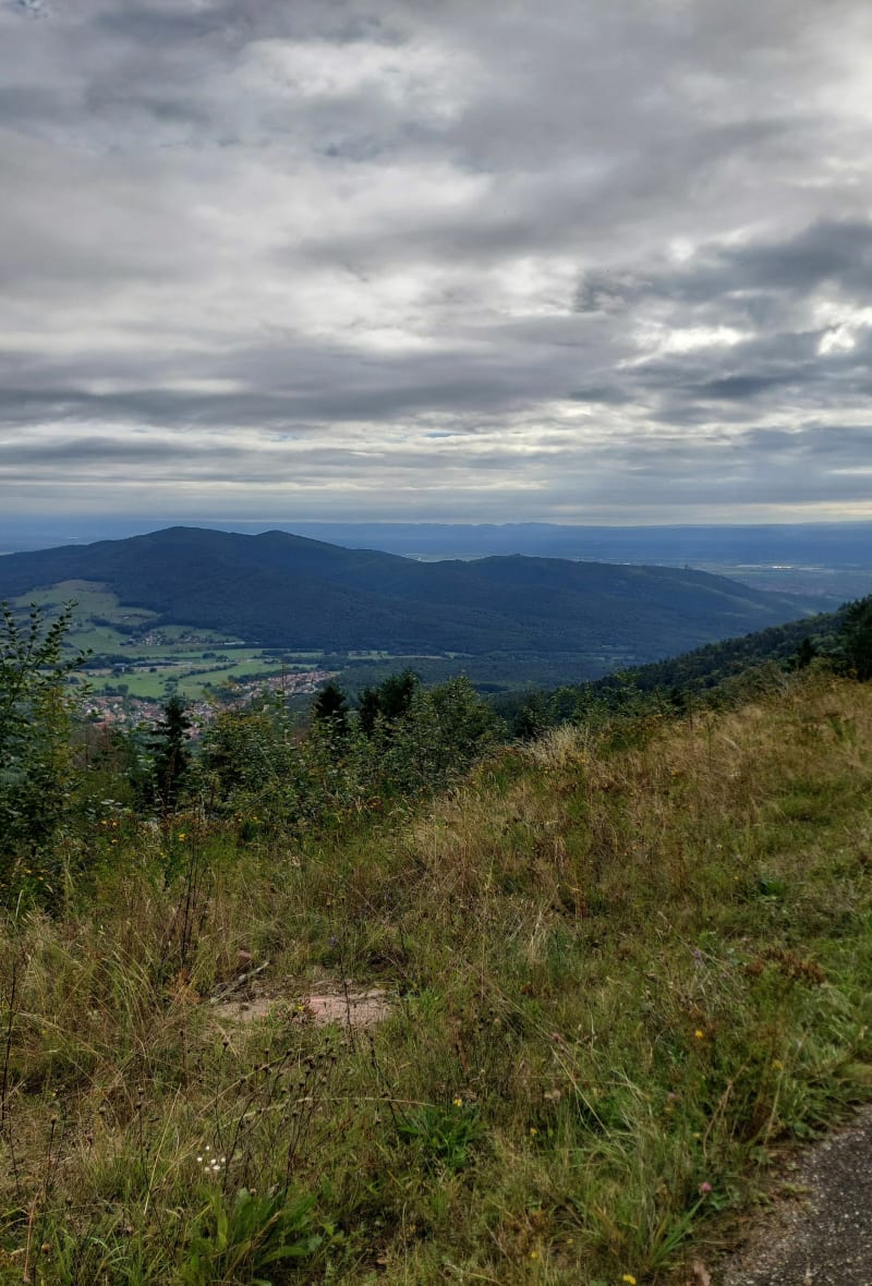 Rocher du Coucou depuis Dieffenbach-au-Val - Dieffenbach-au-Val
