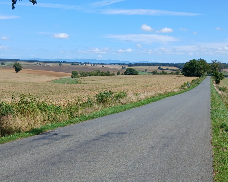Trois-Vèvres, Cercy la Tour et retour par La Machine - Trois-Vèvres