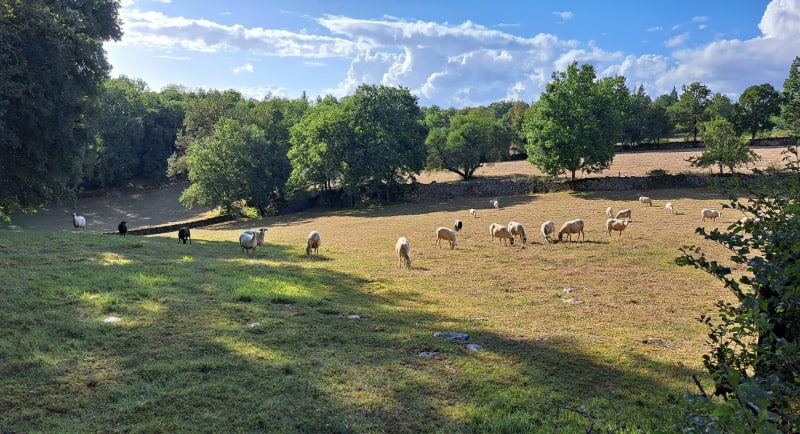 Causse de Gramat - Gramat
