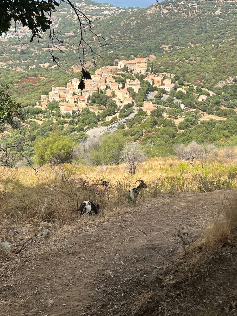 Randonnée d’Algajola à Sant Antonino - Aregno