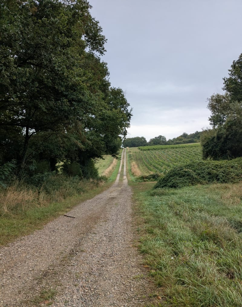 Tour entre Blaison et St Rémy la Varenne - Blaison-Saint-Sulpice