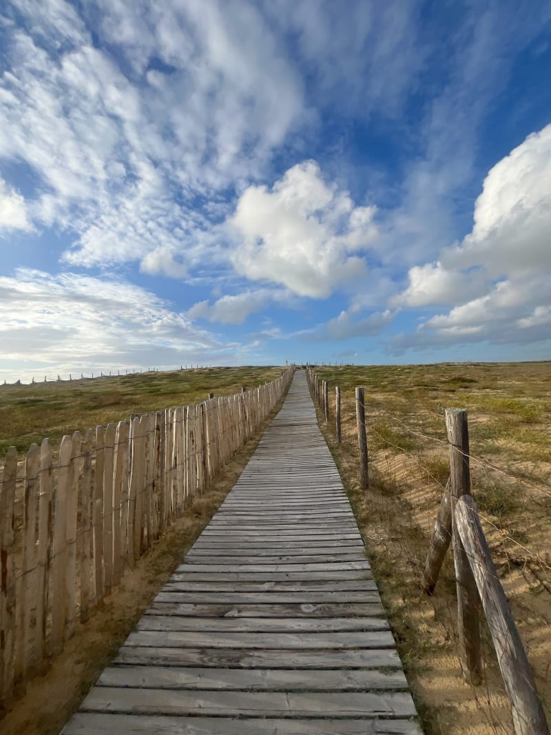 En forêt du Capbreton - Labenne