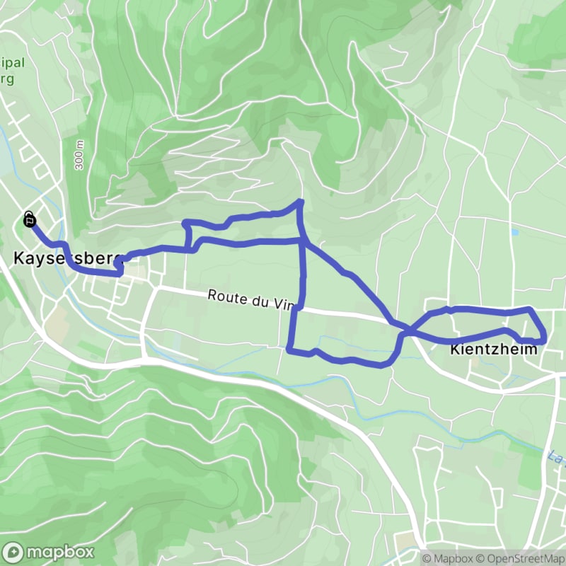 Dans les vignobles de Kaysesberg - Kaysersberg