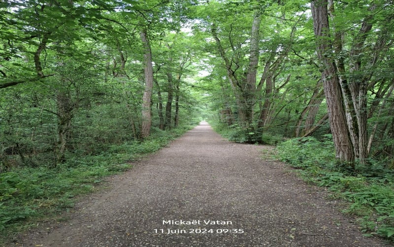 Forêt de Montberon et son parcours de santé - Montberon