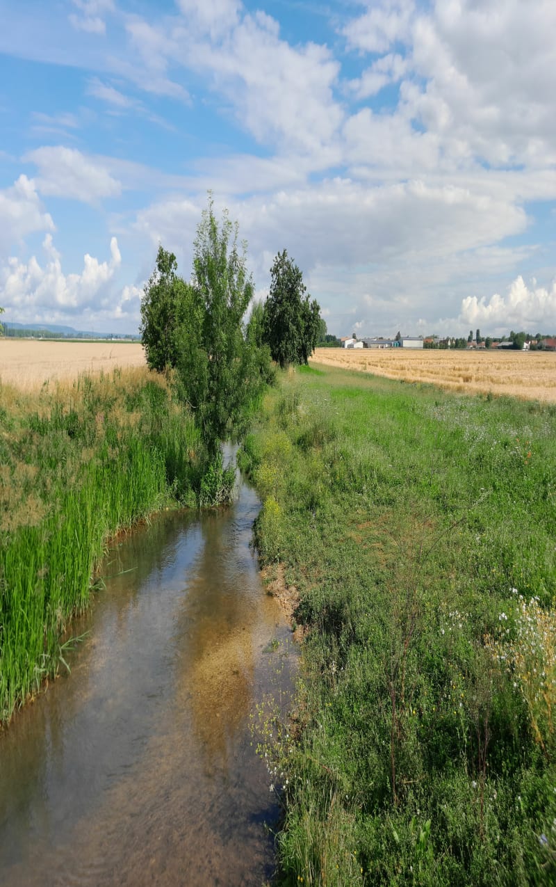 Balade autour de Brazey-en-Plaine et Esbarres - Brazey-en-Plaine