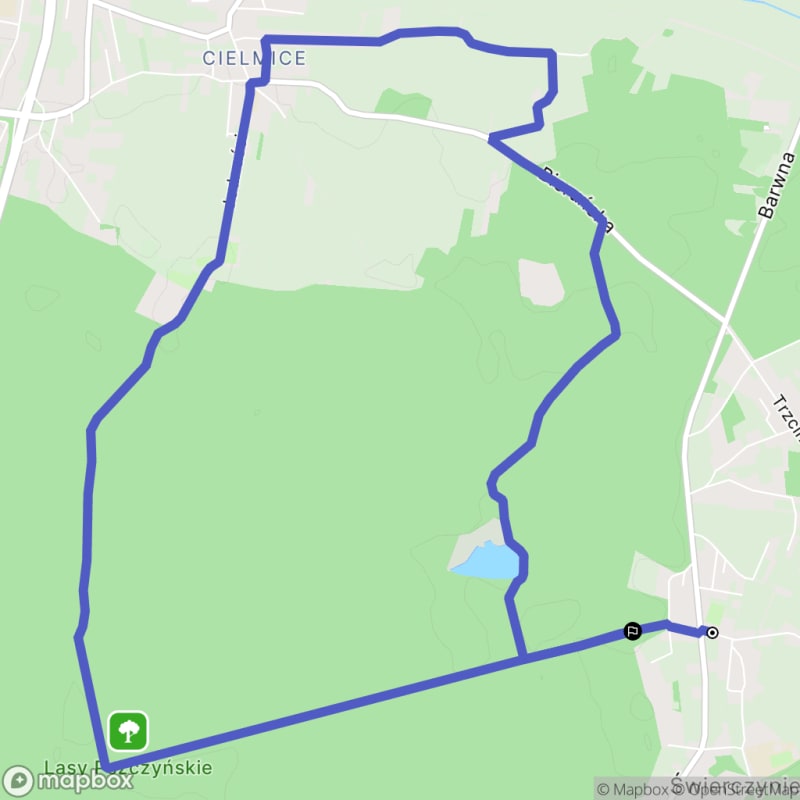 Ścieżka przez las z poziomym terenem i niewielkimi wzniesieniami - spacer od Świerczyniec (11,9 km) o średniej trudności - Świerczyniec