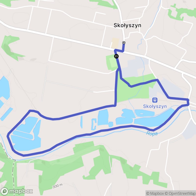 Łatwa, 5,4km rada w Skołyszynie - Skołyszyn