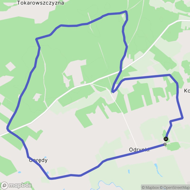 Ścieżka wzdłuż lasów Odrynek - trudny poziom średni, dystans 9,9 km. - Odrynki