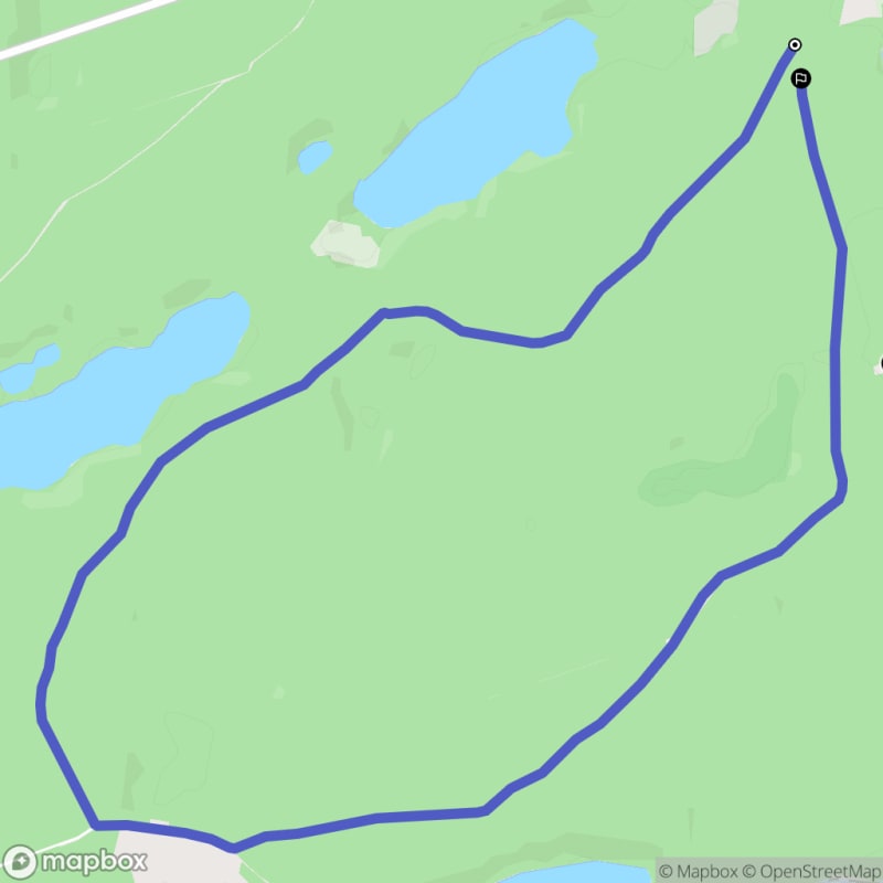Ścieżka szumów lasu z Starego Osieczna - trudny poziom, 8,5 km. - Stare Osieczno