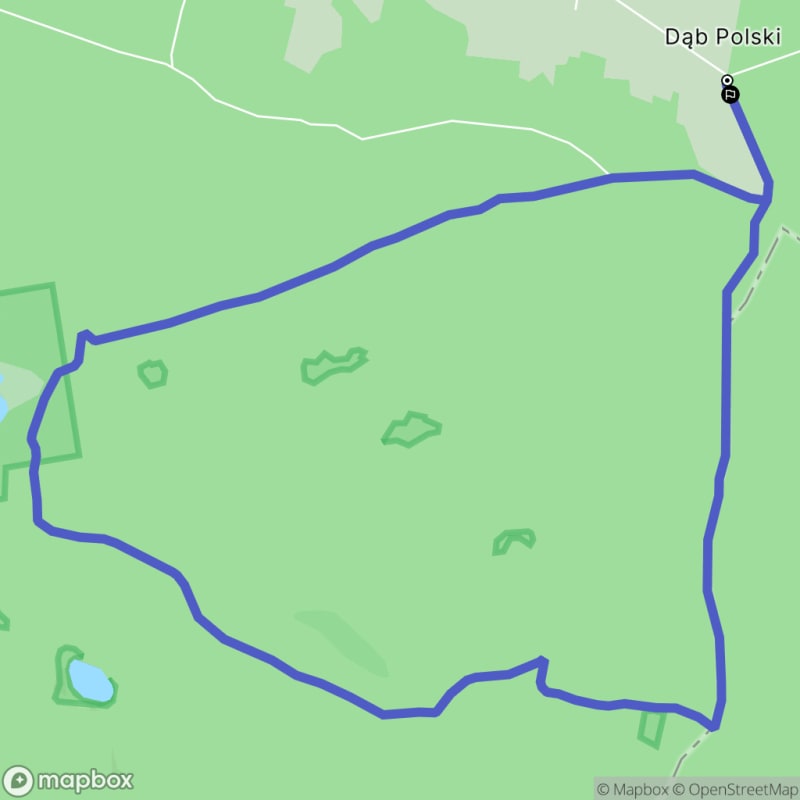 Ścieżka wzdłuż rzeki z poziomem trudności średnim - 9,5 km (Dąb Polski) - Dąb Polski