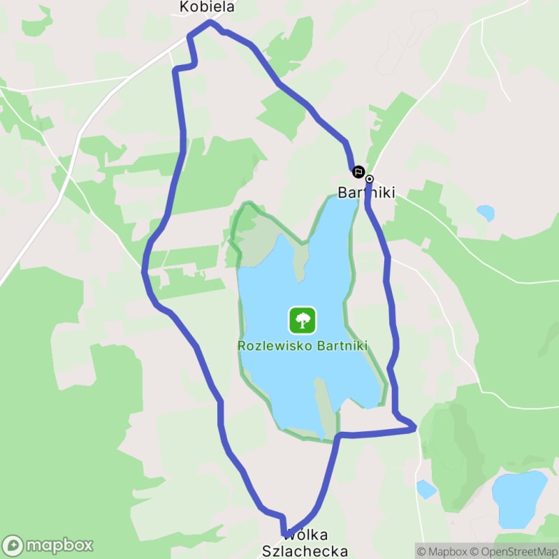 Ścieżką przez Bartniki na trudnym terenie (8,0 km) - Bartniki