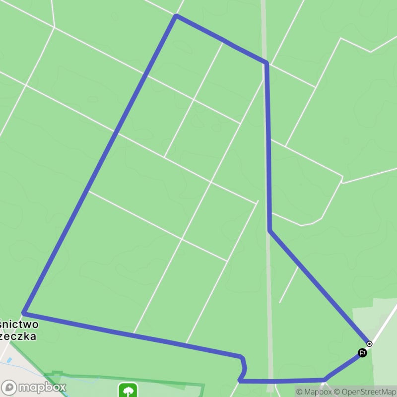 Ścieżka w Czeszewie o długości 8,6 km z poziomymi różnicami terenu i umiarkowaną trudnością (średnia) - Czeszewo