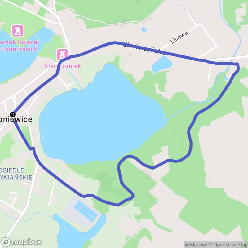 Łatwa pieszałka w Lubniewicach (4,4 km) - taki tytuł można napisać na podstawie podanych danych. - Lubniewice