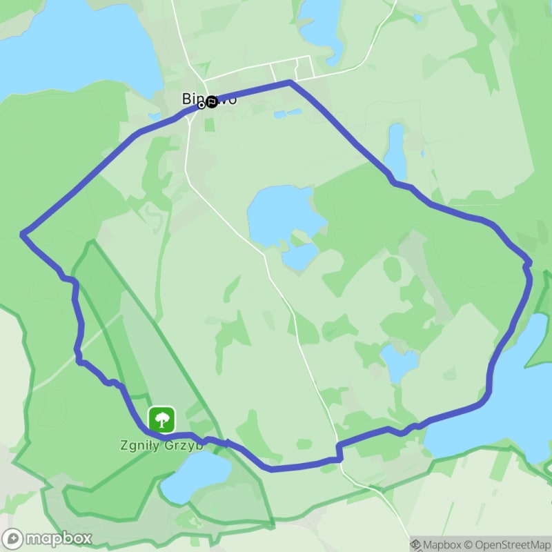 Ścieżka w Binowie o dystansie 8,5 km i poziomie trudności umiarkowanym - Binowo