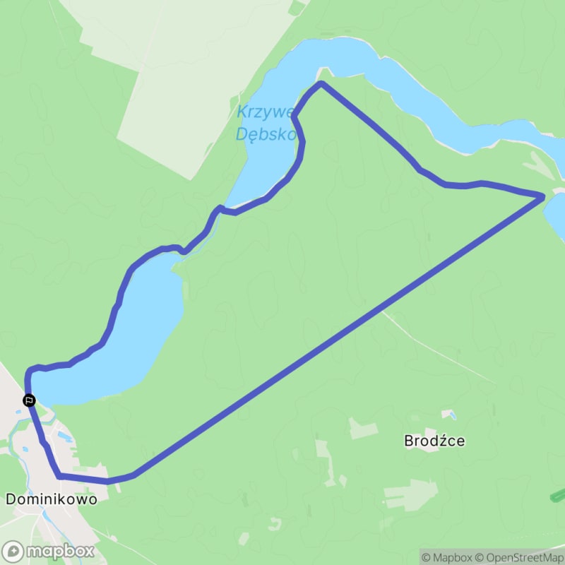 Ścieżka w środku natury - spacer od Dominikowa o dystansie 12,2 km i poziomie trudności średniej. - Dominikowo