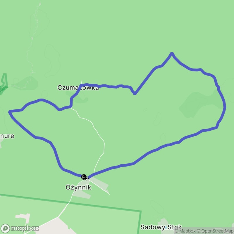 Umiarkowana wędrówka do Czeremchowej Tryby w Puszczy Knyszyńskiej (10 km, 3 godz. 05) - Ożynnik