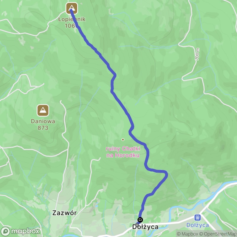 Trudna 6,4-kilometrowa wędrówka na Łopiennik w Bieszczadach - Dołżyca