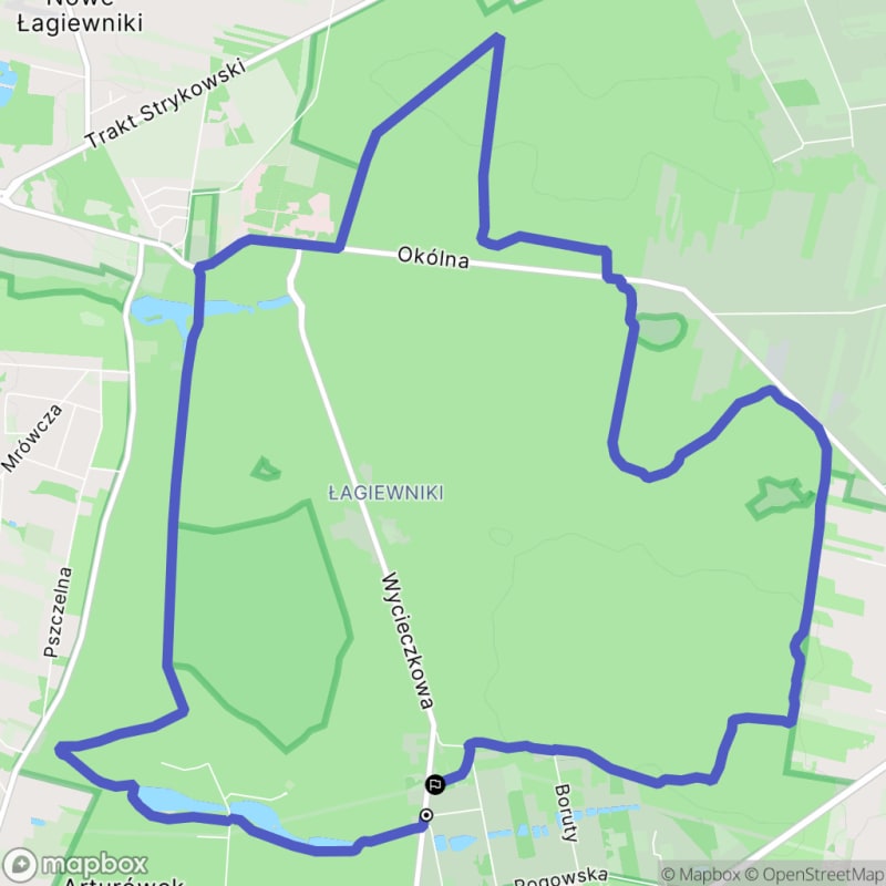 Umiarkowany 4h25 Wędrówka niebieskim szlakiem w Łodzi, Polska (14,2 km) - Łódź
